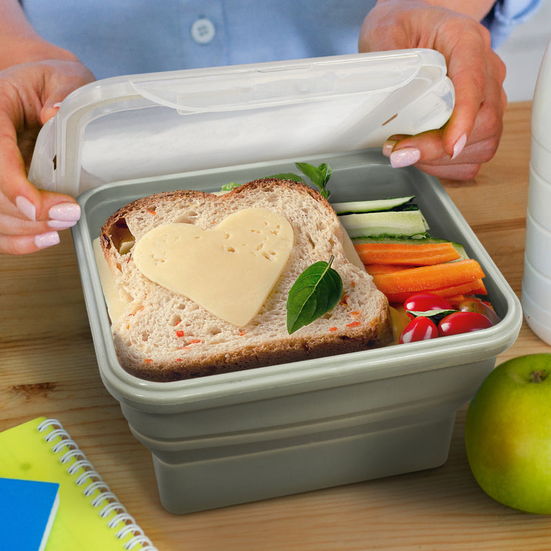 agogo Collapsible Lunch Box