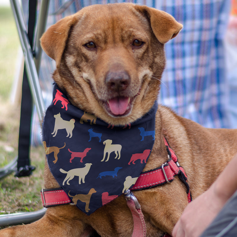 agogo Pet Bandana - Medium