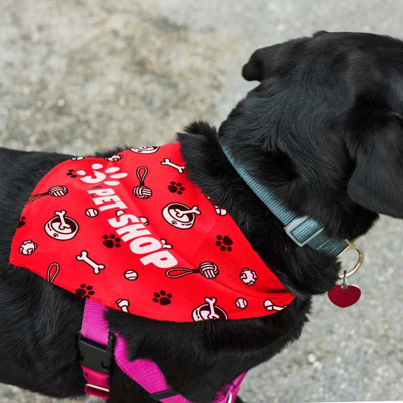 agogo Pet Bandana - Large