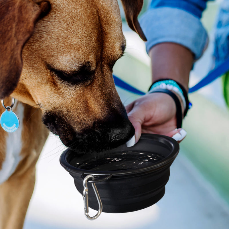 agogo Silicone Collapsible Pet Bowl