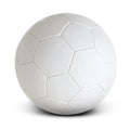 agogo Soccer Ball Pro